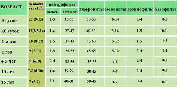 лейкоциты у детей норма