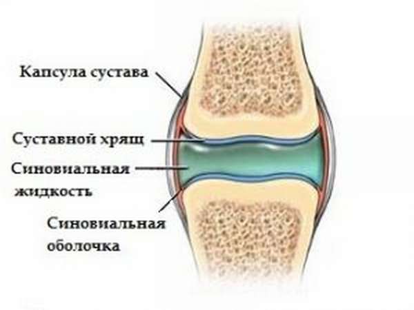 Препараты для укрепления суставов и связок